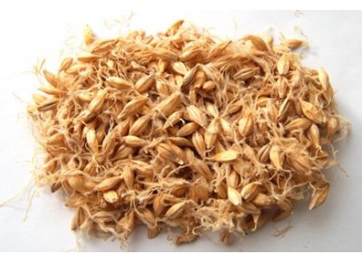 Factory supply high quality organic brown rice syrup