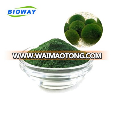 EU NOP Certified and natural Organic Chlorella Powder